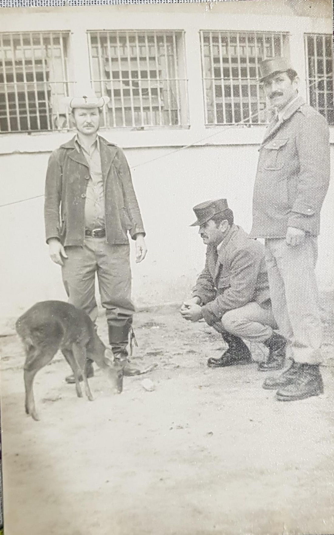 Júlio Gritz. Miguel Morvan e um civil. Fundos da delegacia Itaiópolis. Veado domesticado. Por volta de 1975