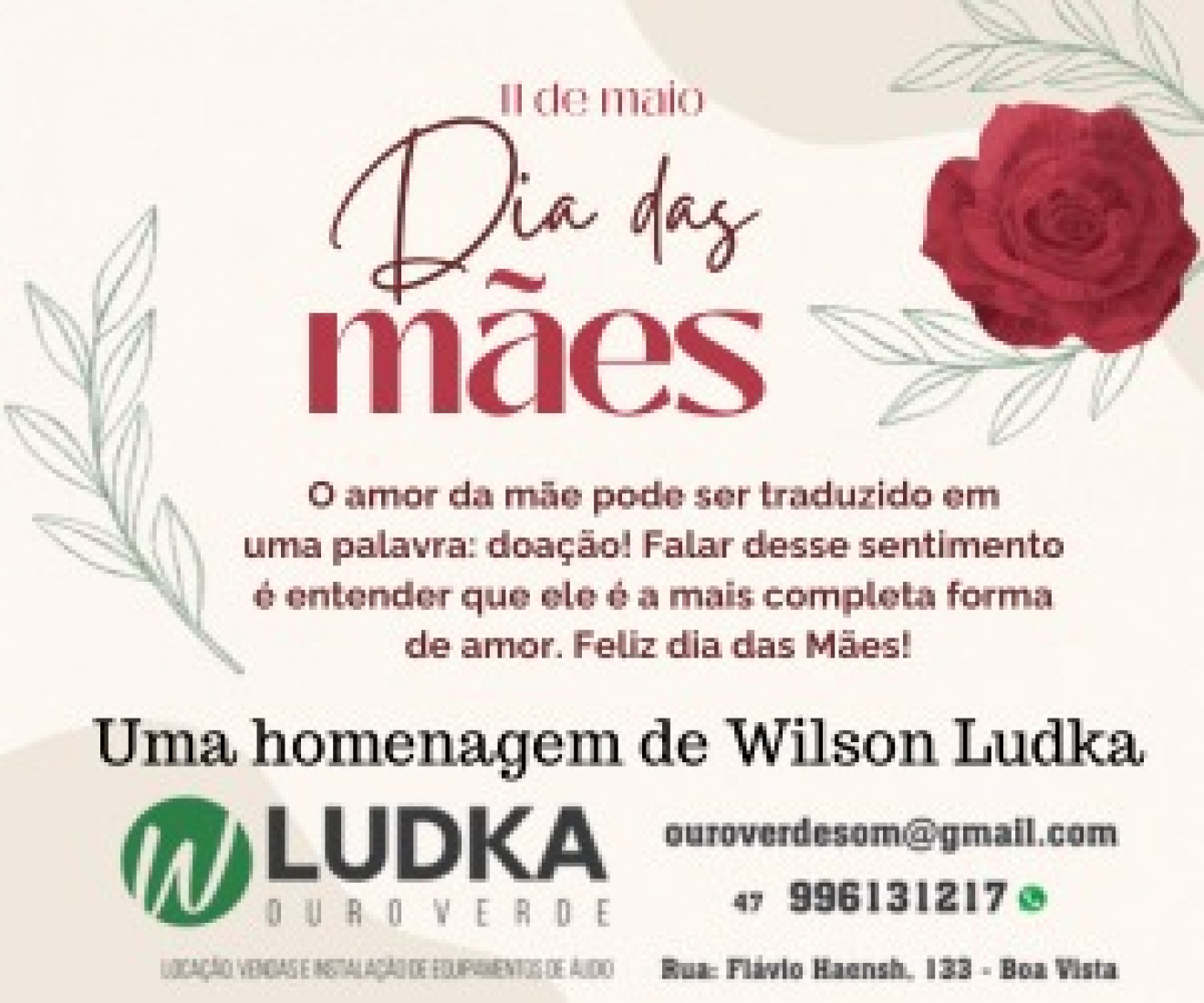 Divulgação