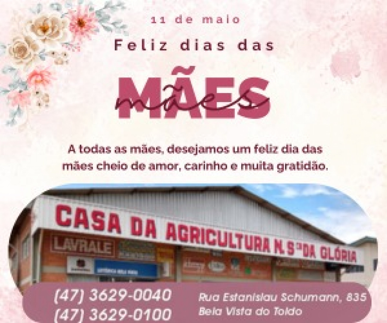 Divulgação