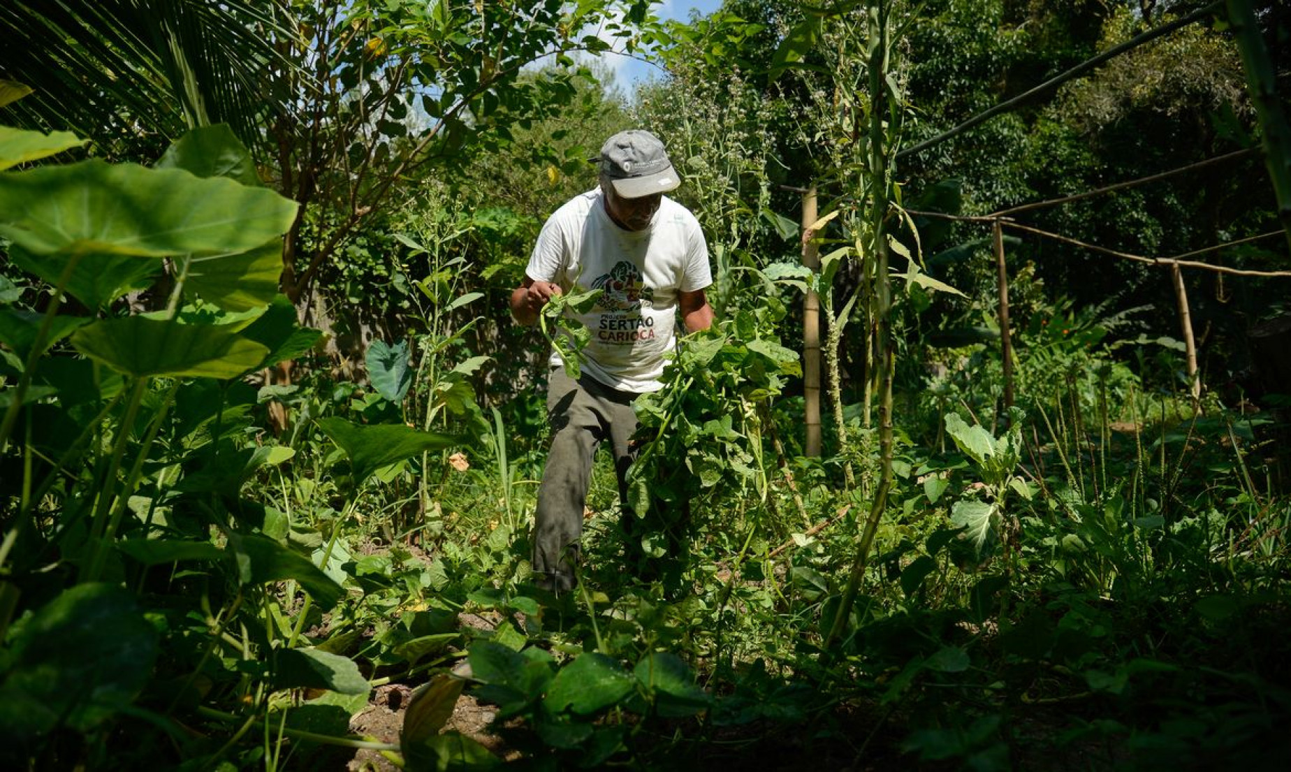 Edital seleciona 36 projetos para fortalecer agricultura familiar