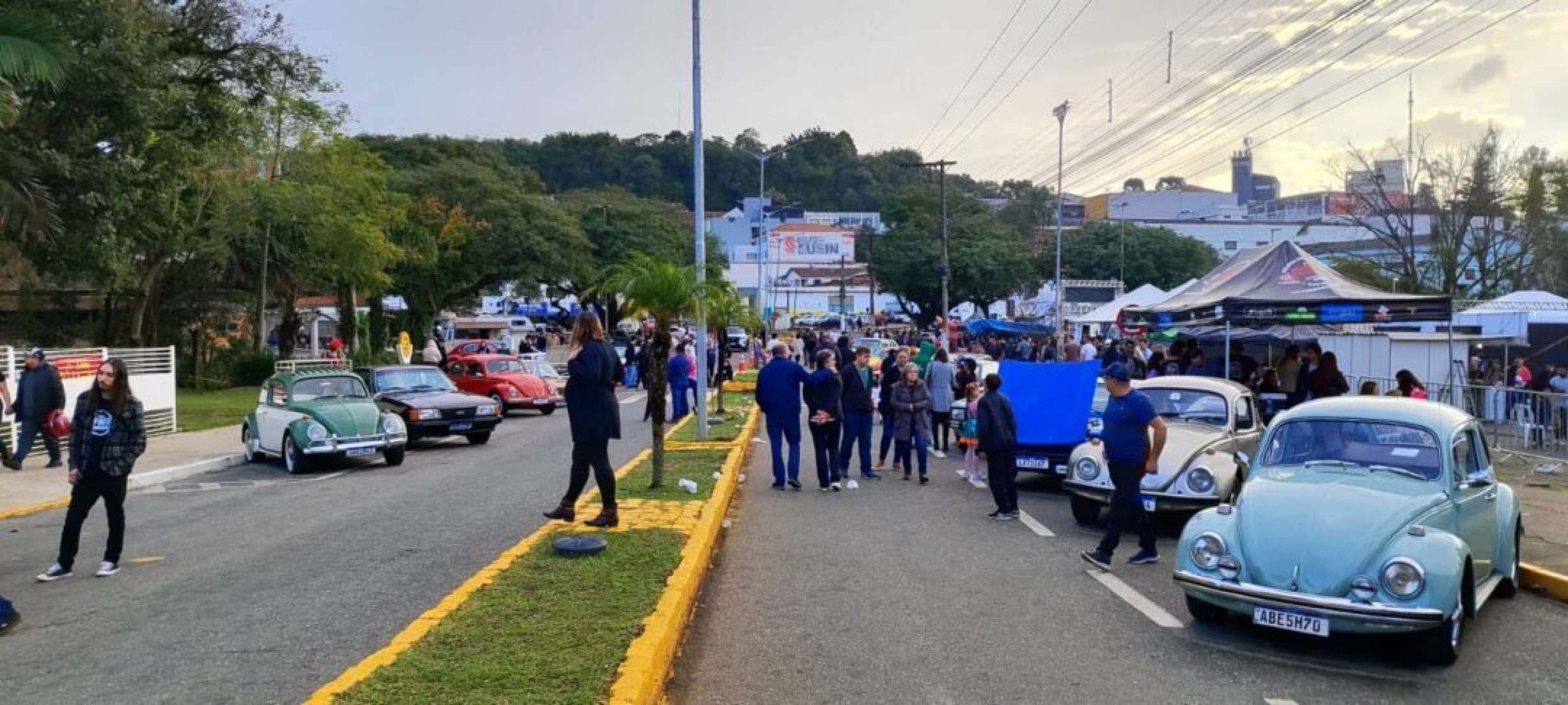Divulgação