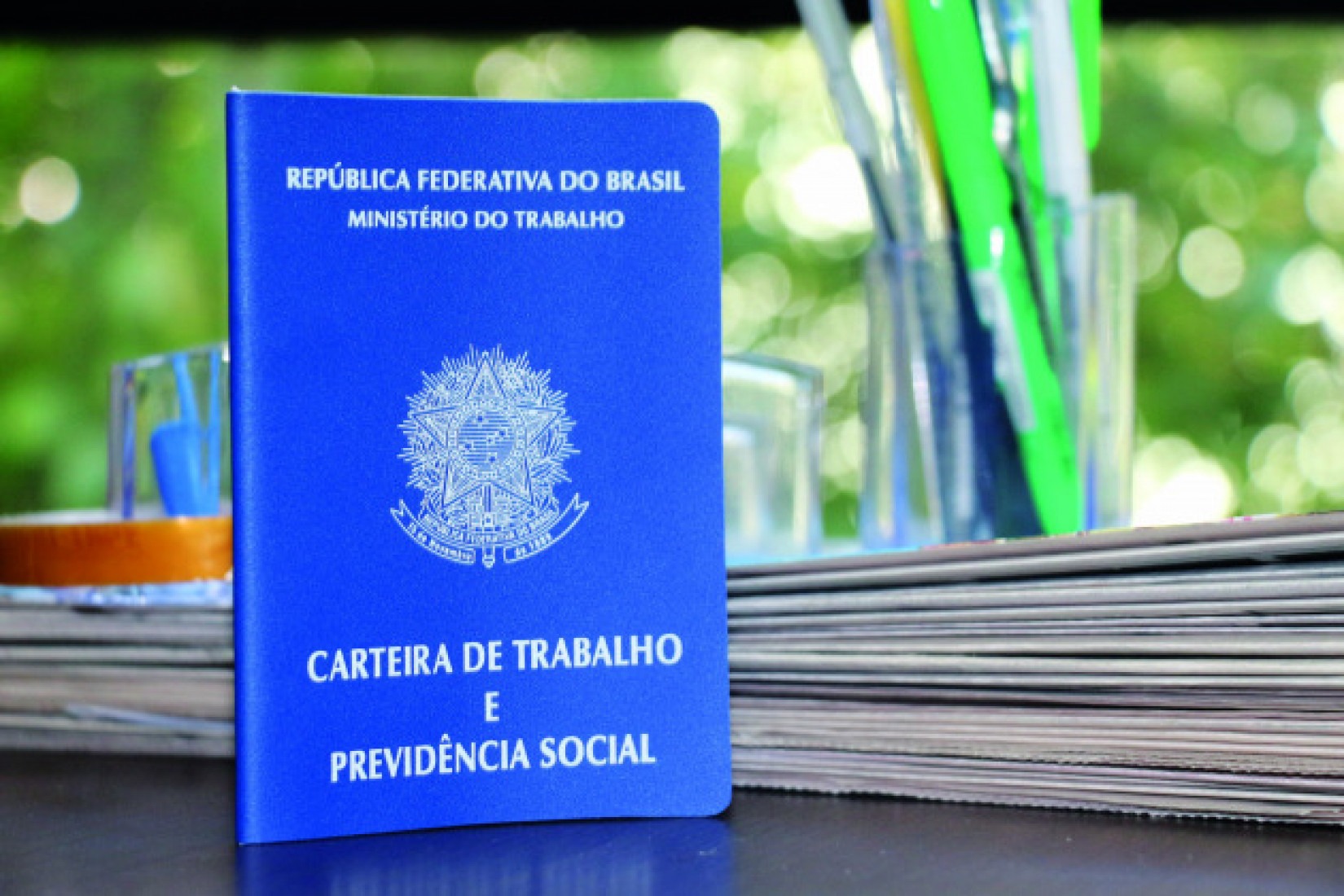 Divulgação