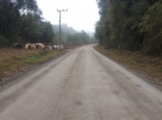 Infraestrutura - Município de Três Barras