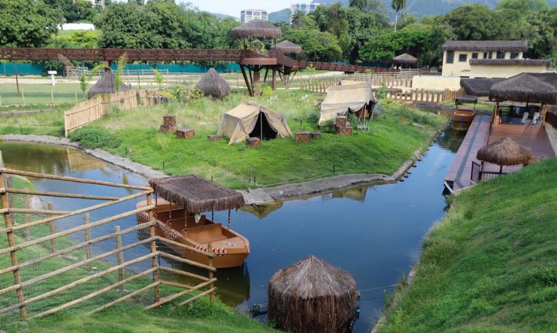 Rio: após galinhas d'angola aparecerem mortas, BioParque está fechado