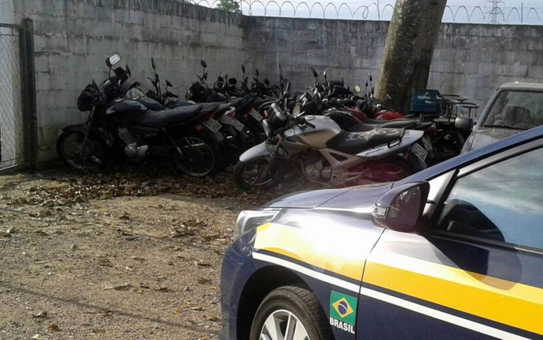 Além de veículos apreendidos, também serão leiloados veículos abandonados nas rodovias federais de SC