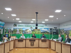 Vereadores de Irineópolis