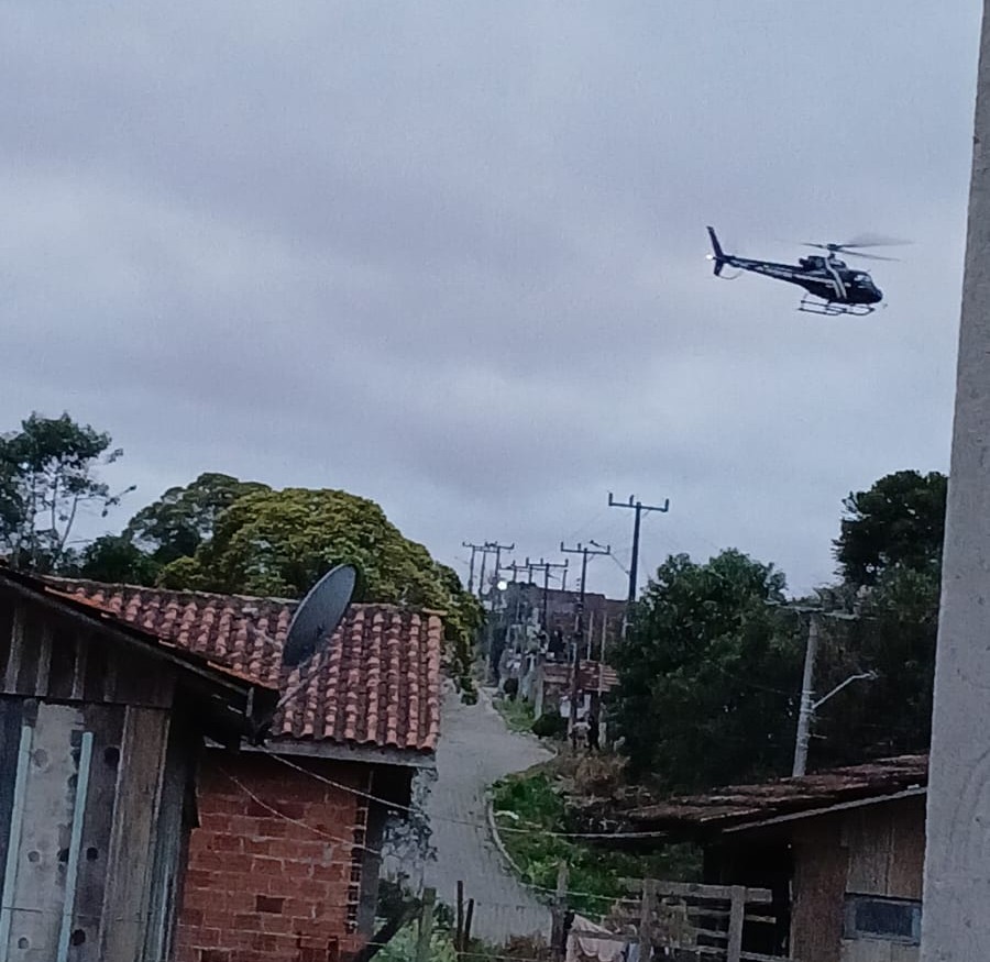 Divulgação
