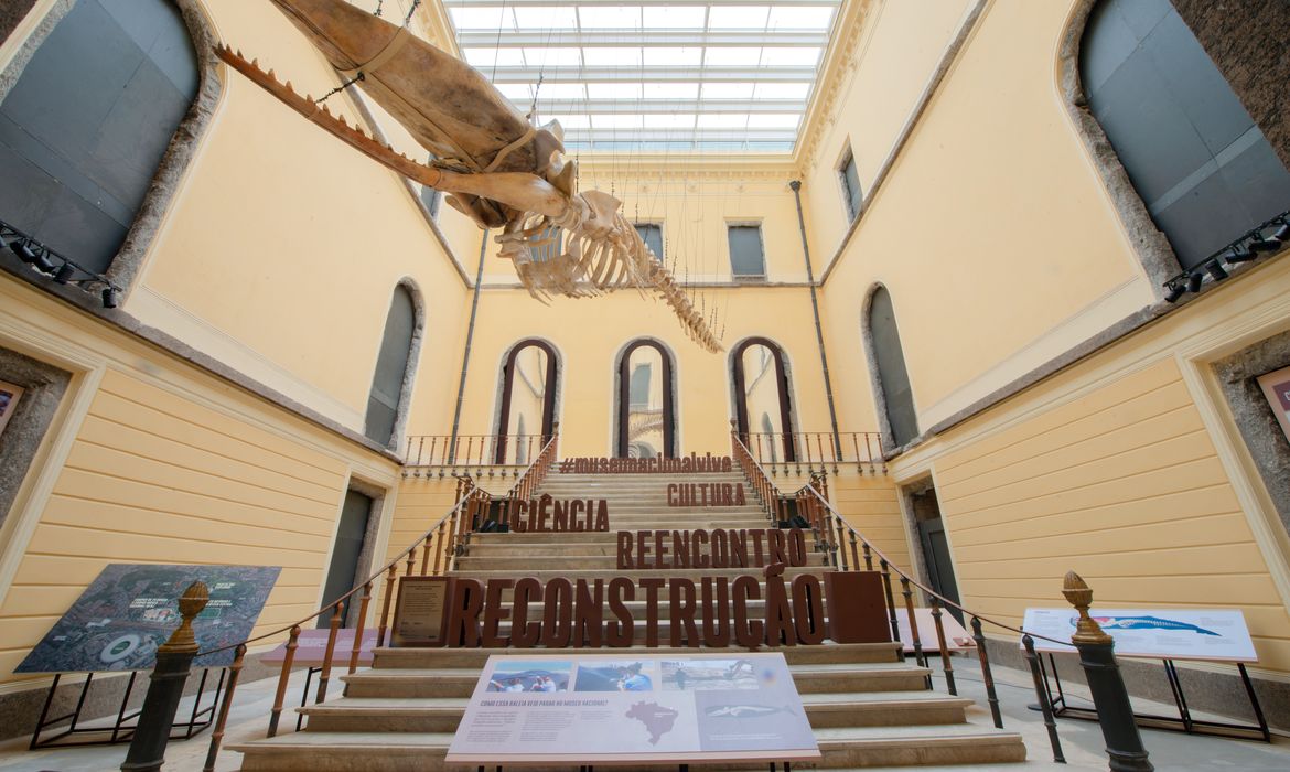 Museu Nacional realiza no domingo sétima edição de festival