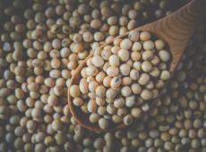 BASF, Corteva e MS Technologies anunciam tecnologia inédita de soja resistente a nematoides, com previsão de chegada ao Brasil no final da década.