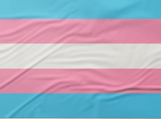 Pesquisa recomenda ações de prevenção ao HPV focadas em pessoas trans