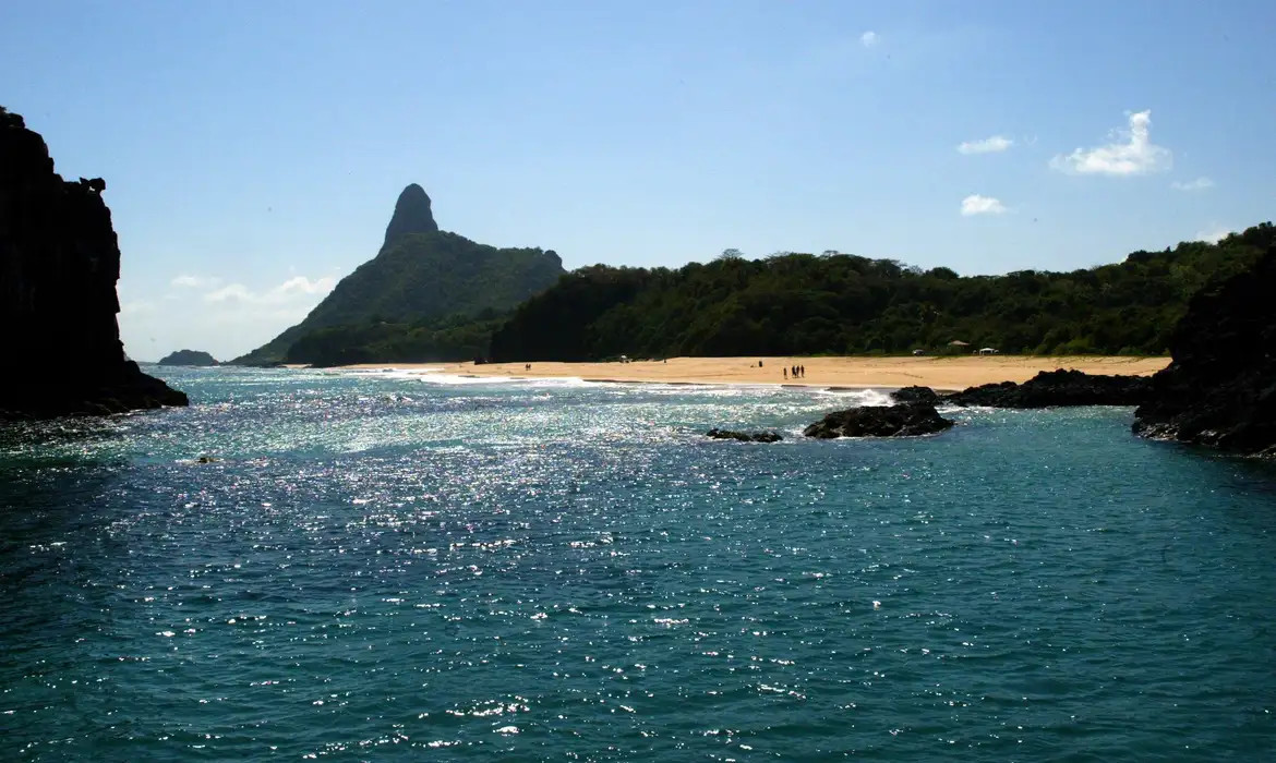 Ilhas brasileiras: estudo revela presença de espécies exclusivas