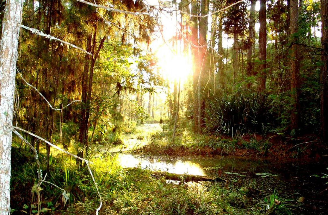 Planalto Norte de SC guarda florestas, rios e grutas pouco explorados, com potencial para fortalecer o turismo de natureza
