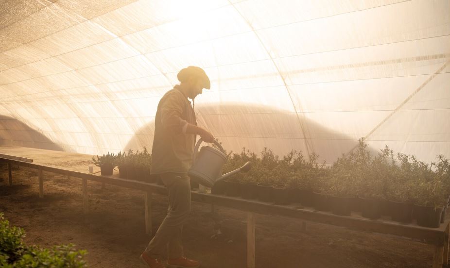 Mudanças climáticas trazem estiagens, chuvas fortes e novas pragas que afetam a agricultura do Planalto Norte de SC