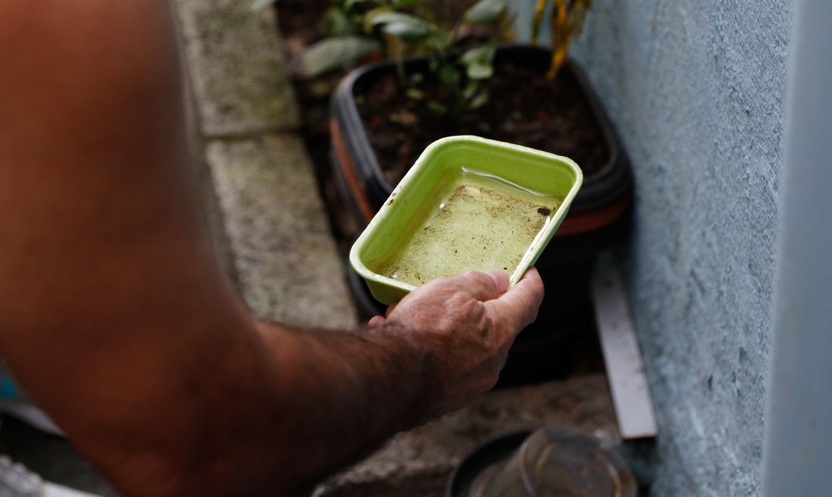 Chikungunya traz preocupações após uma década de presença no Brasil