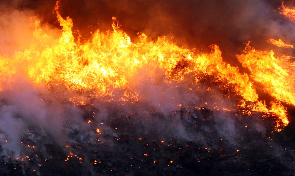 Brigadistas combatem incêndio em Cavalcante, Goiás