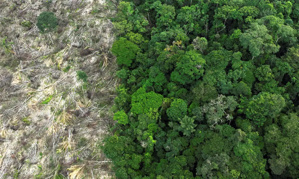 Mudanças climáticas já afetam cotidiano da população na Amazônia Legal