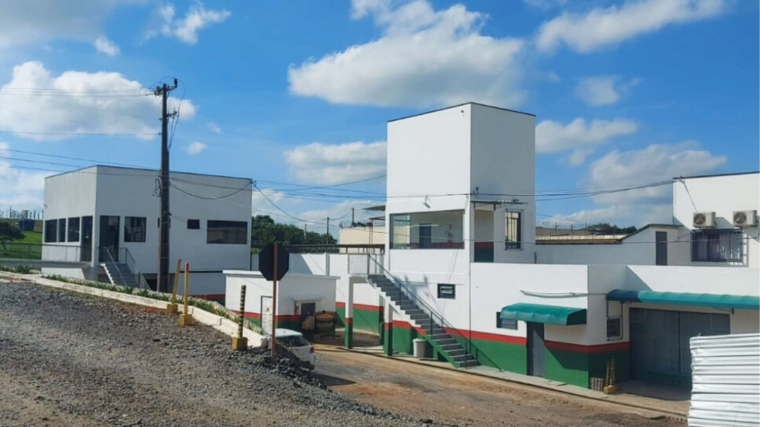 Divulgação