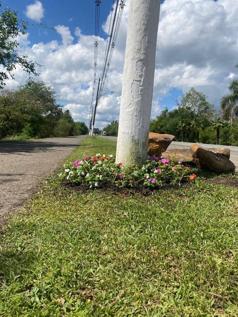 São Cristóvão fica mais colorida com nova pintura e flores nos pontos de ônibus