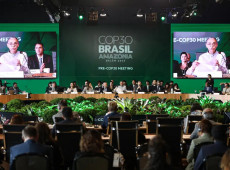 COP é o lugar para resolver financiamento climático, diz economista