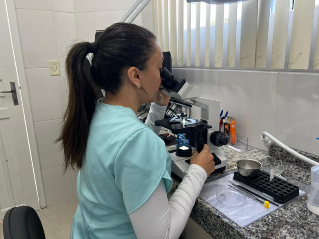 Laboratório de entomologia médica de Canoinhas é avanço no combate à dengue