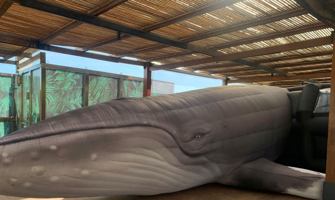 Jardim Botânico do Rio expõe réplica de jubarte por conscientização
