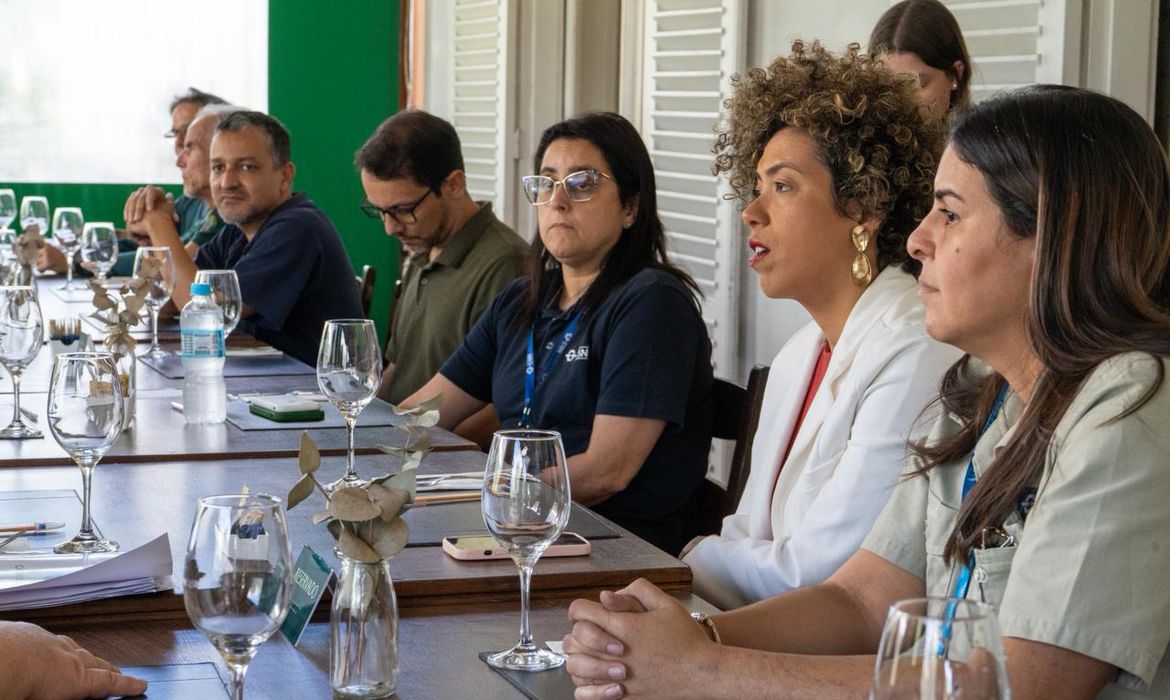 Comissão da Câmara pede que Ibama fiscalize crimes ambientais da CSN