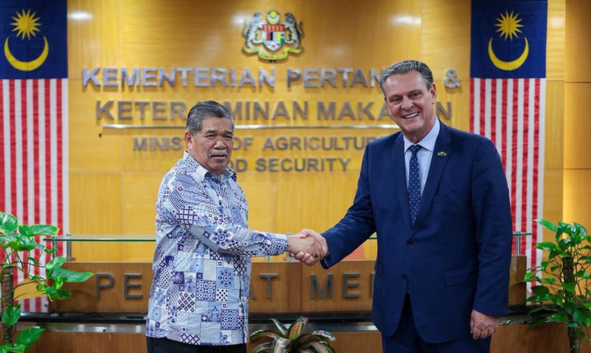 Brasil retoma exportações de carne de frango para a Malásia