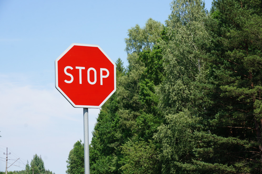  A stop sign beside row of trees against a blue sky