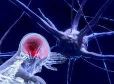 Unesco faz recomendação inédita para uso ético da neurotecnologia