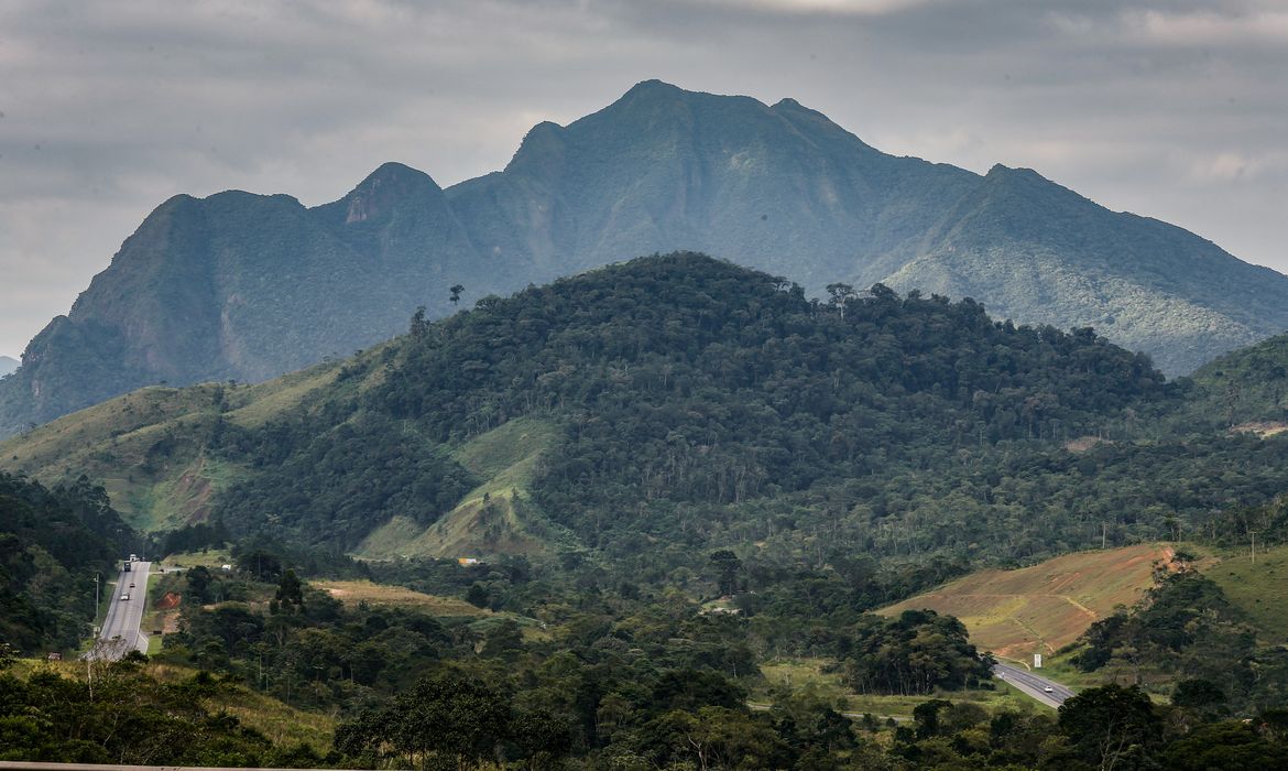 SOS Mata Atlântica mobiliza setor privado para conservação do bioma