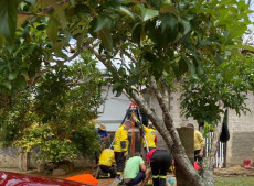 Bombeiros realizaram operação complexa para retirar a vítima.