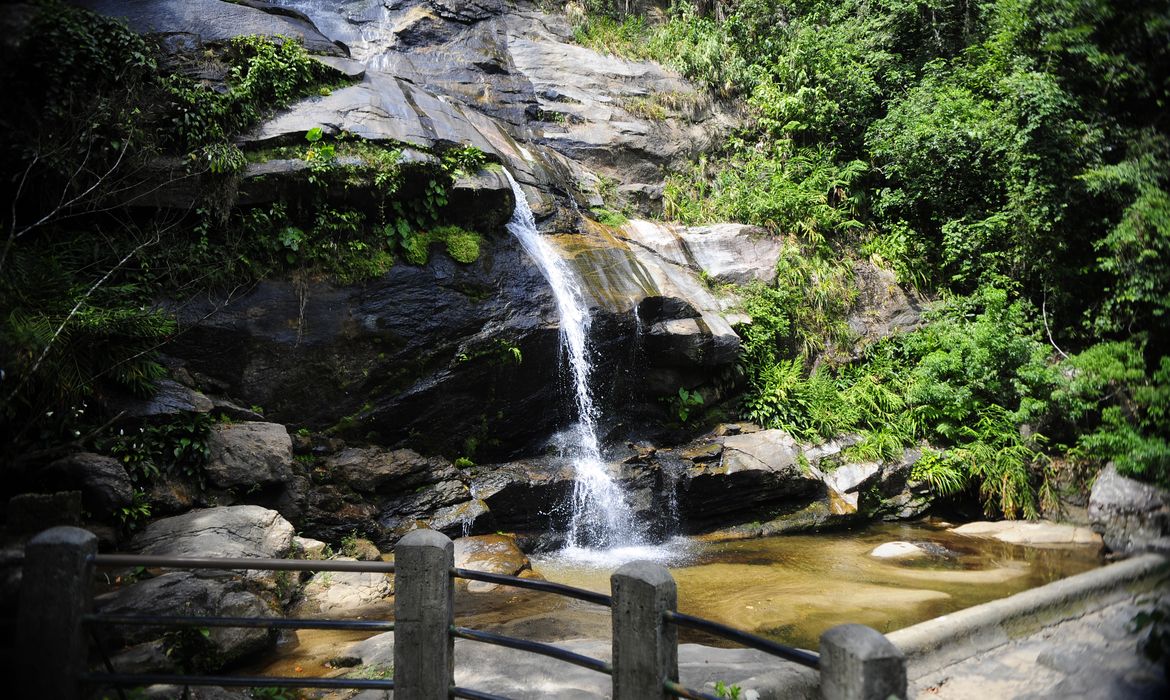 Parque Nacional da Tijuca promove feira de ciências com foco em peixes