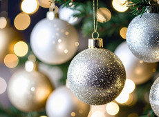 Divulga&ccedil;&atilde;o