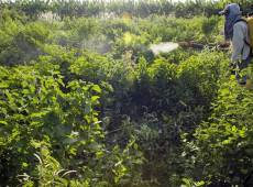 Campanha denuncia agronegÃ³cio por contaminaÃ§Ãµes com uso de agrotÃ³xicos