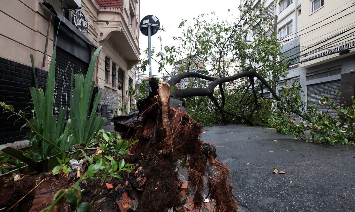 São Paulo enfrenta ventos de quase 100 km/h nesta quarta-feira