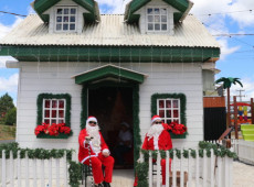 Divulga&ccedil;&atilde;o