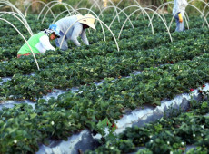 Finep anuncia parceria de R$ 74,9 milh&otilde;es para a agricultura familiar