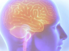 Projeto &Aacute;rtemis avalia gen&eacute;tica de pacientes que sofreram AVC