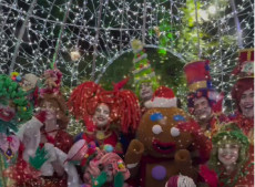 Traga as crian&ccedil;as e venha viver essa magia.