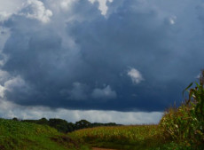  Divulga&ccedil;&atilde;o