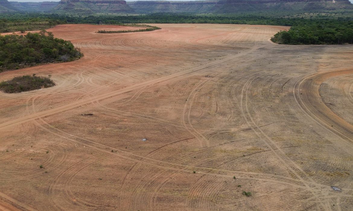 Processadoras de soja deixam acordo sobre desmatamento na Amazônia