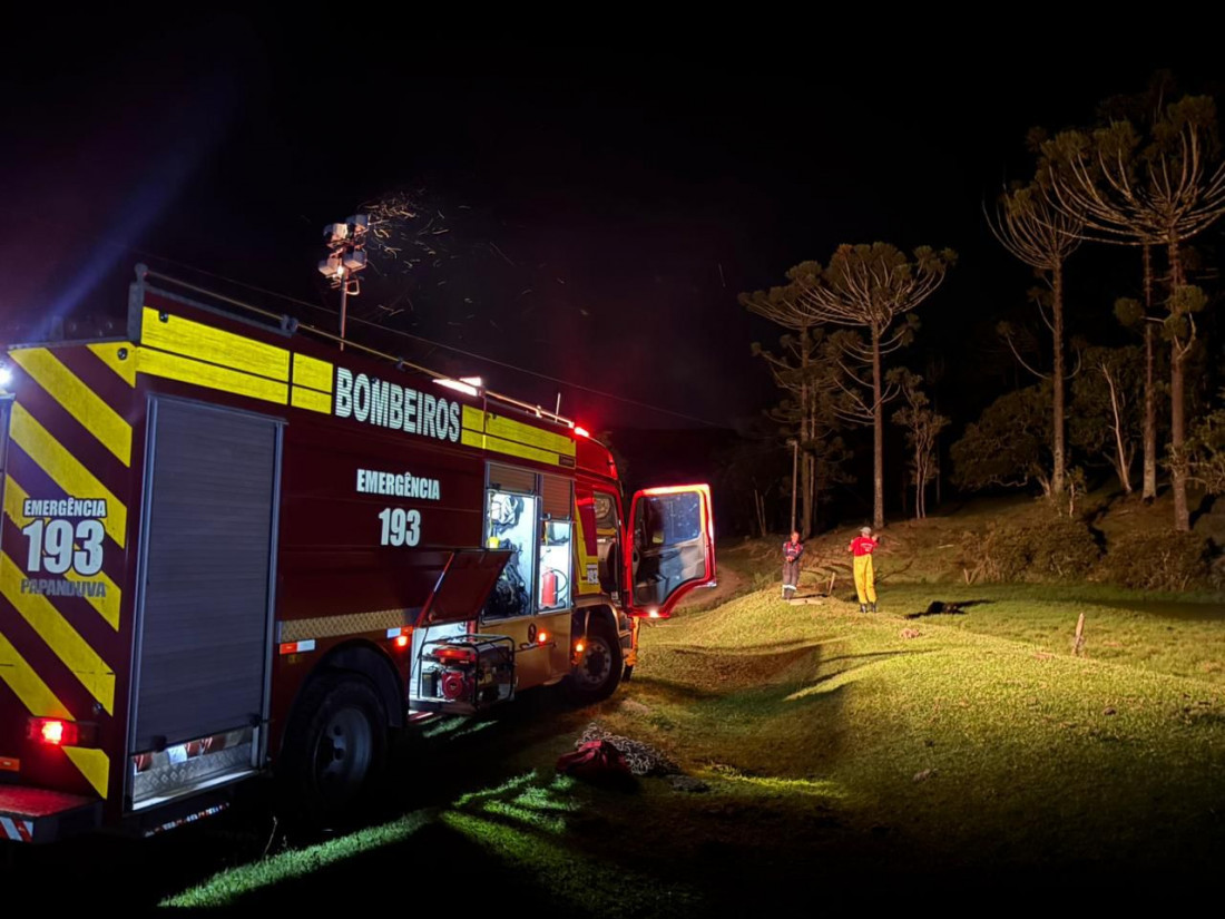 Vaca atolada em açude 