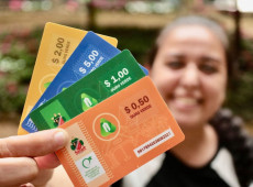 Programa Moeda Ouro Verde