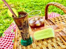 Canoinhas &eacute; refer&ecirc;ncia na produ&ccedil;&atilde;o de erva-mate em Santa Catarina.