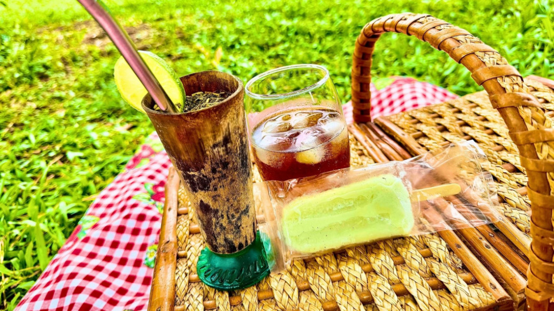 Canoinhas é referência na produção de erva-mate em Santa Catarina.