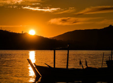 Divulga&ccedil;&atilde;o