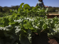 Acordo garante terras a 3 mil fam&iacute;lias em assentamentos no Paran&aacute;