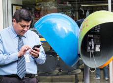 Orelh&otilde;es ser&atilde;o extintos em todo o Brasil at&eacute; o fim de 2028