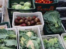 Programa de Aquisi&ccedil;&atilde;o de Alimentos (PAA), que seguir&aacute; com a&ccedil;&otilde;es at&eacute; agosto.