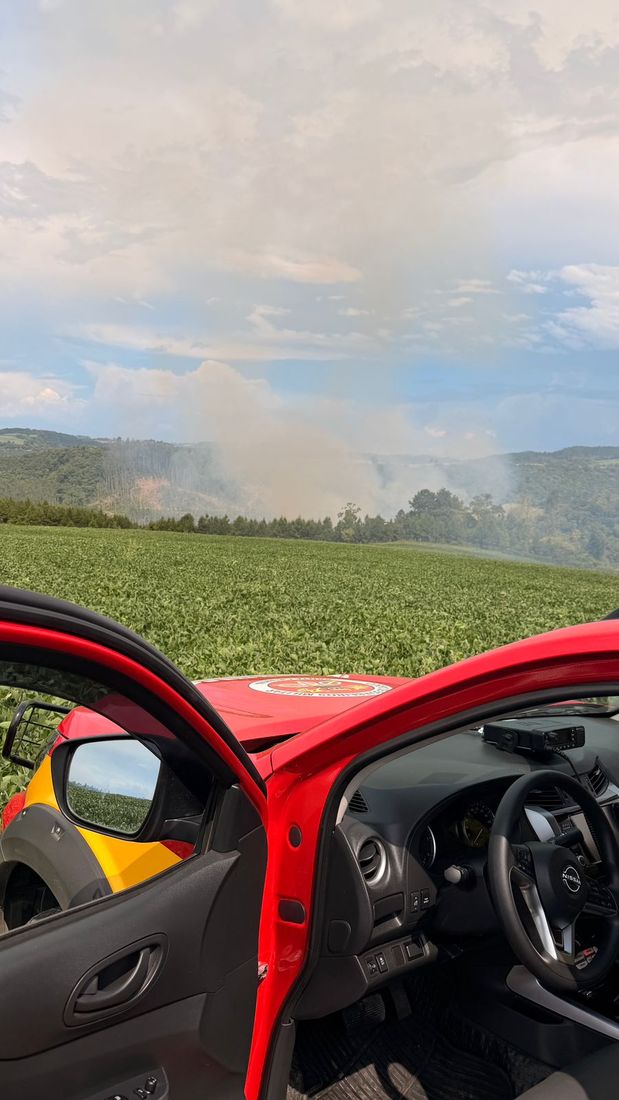 Divulga&ccedil;&atilde;o